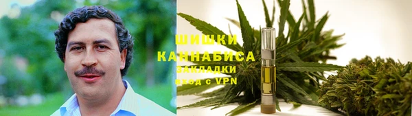 spice Протвино