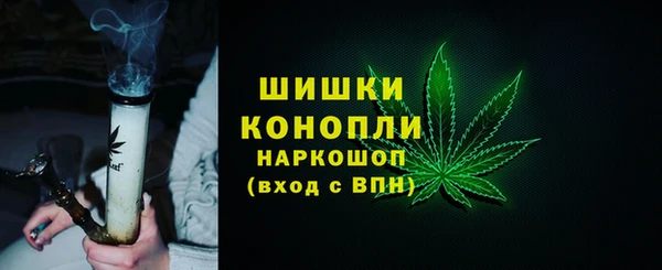 МДПВ Весьегонск