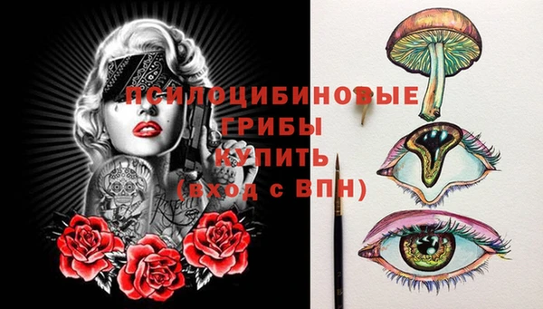 spice Протвино