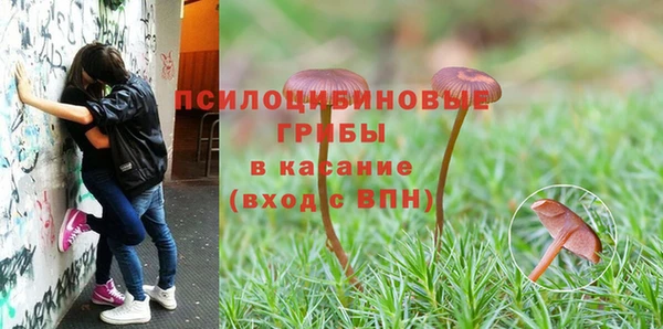 тгк Приозерск