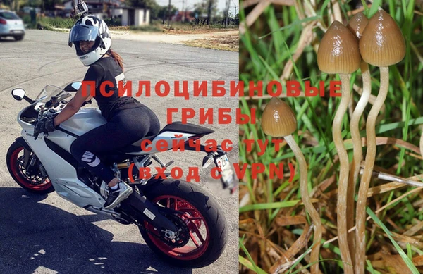 spice Протвино