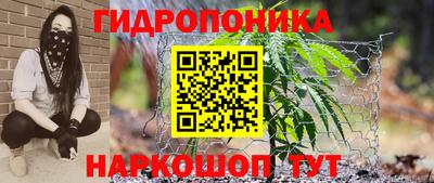 спиды Аргун