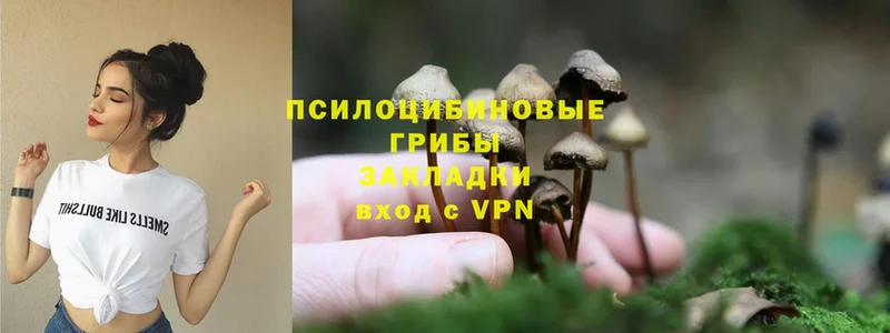 Галлюциногенные грибы MAGIC MUSHROOMS  Великие Луки 