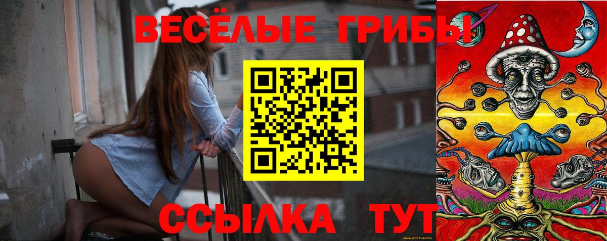 Псилоцибиновые грибы Psilocybe  Великие Луки 