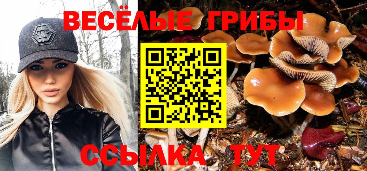 Галлюциногенные грибы прущие грибы  Вход с VPN  Великие Луки  Псилоцибиновые грибы прущие грибы 