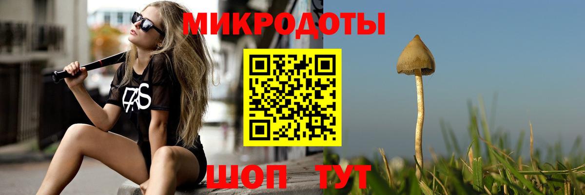 Галлюциногенные грибы мицелий Великие Луки